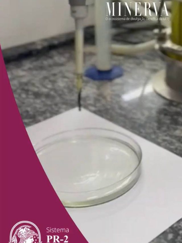 Biodetergente “suga” mancha de óleo